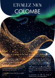 Acheter une étoile dans la constellation de la Colombe