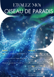Oiseau du Paradis