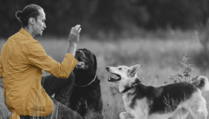 Therapie de deuil animalier