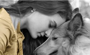 Bapteme d'une etoile pour un chien