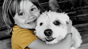 Groupes de soutien pour le deuil