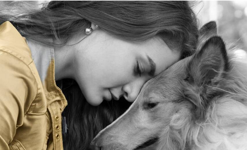 Bapteme d'une etoile pour un chien